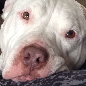 Meet your Posher, Dave